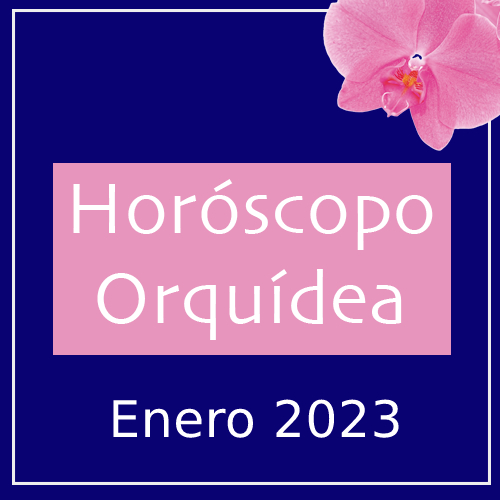 Banner Horóscopo Orquídea Enero 2023